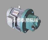 YHB电动润滑油泵